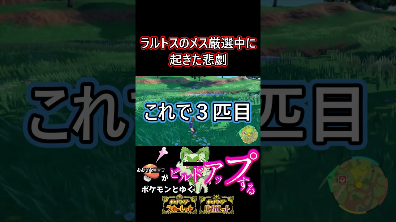 ラルトスのメス厳選中に地獄を見た時のやつ【ポケモンSV】#ポケットモンスター #ポケモン #ポケモンsv