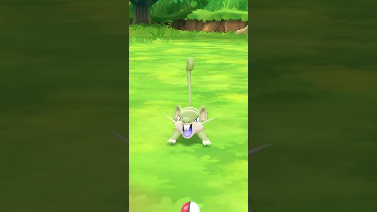 Shiny rattata!!