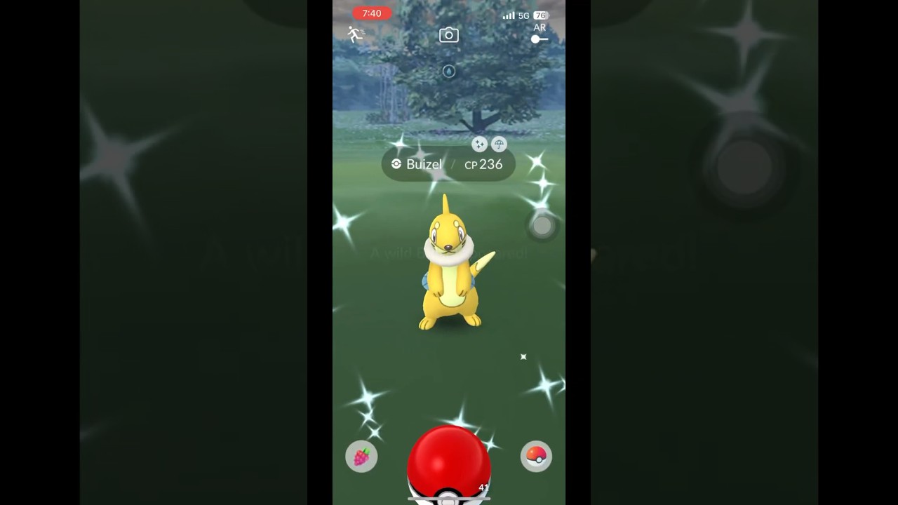 Shiny ✨ #buizel the 🌊 Weasels #pokemon catch #pokemongo #gamer #games #gameplay #videogames #pogo