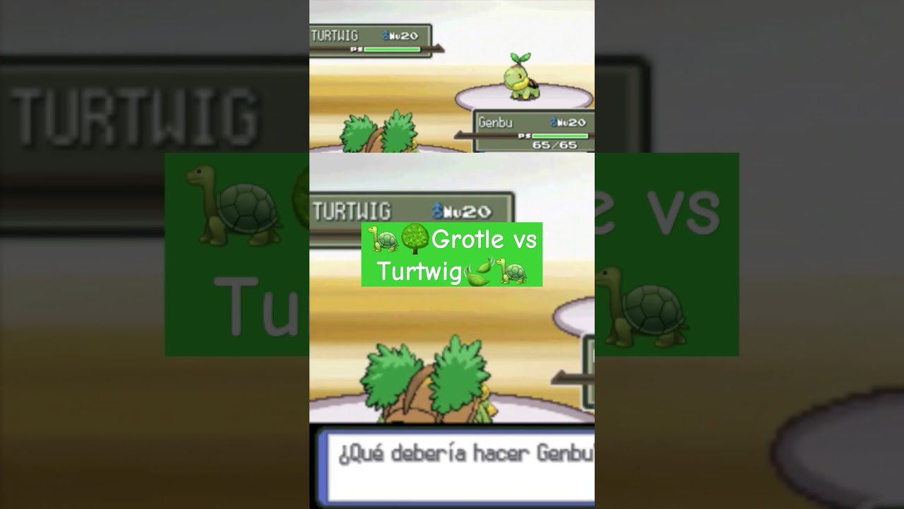 Evolución vs preevolución #pokemon  #pokemonplatino #gimnasiopokémon #turtwig #grotle