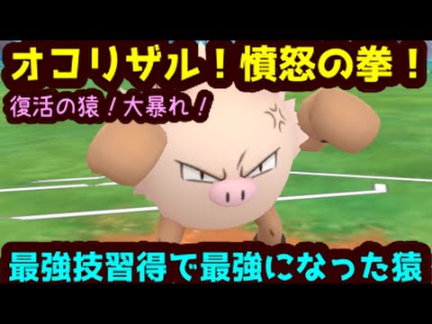 【ＧＯバトルリーグ】オコリザル！怒りの拳！最強技実装で最強になった猿！【ポケモンＧＯ】