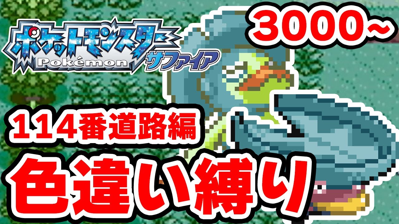 【色違い縛り】色違いを再び114番道路で粘る男 3000~【ポケモンRS】