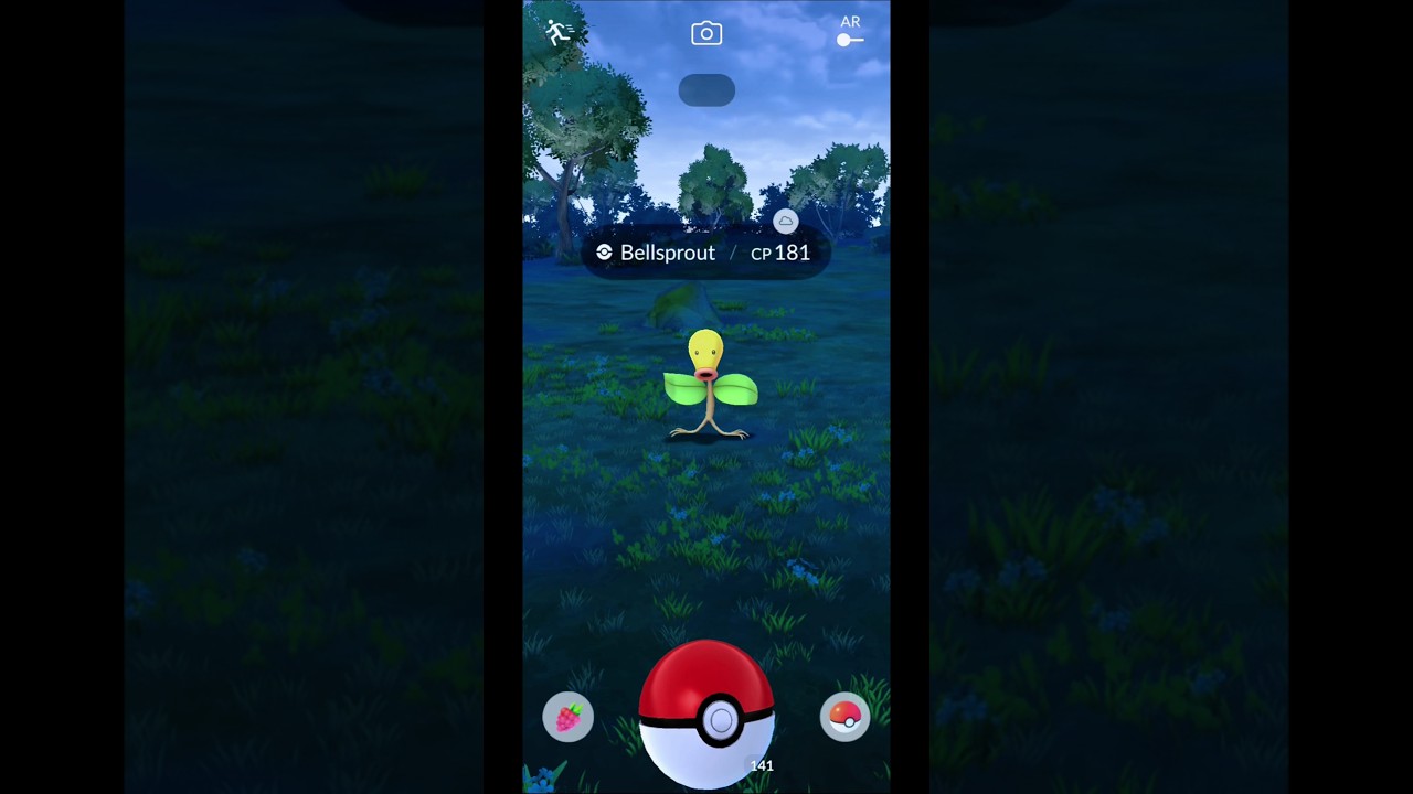 I Caught Bellsprout in Pokemon GO #Shorts #Bellsprout #PokemonGOGameplay
