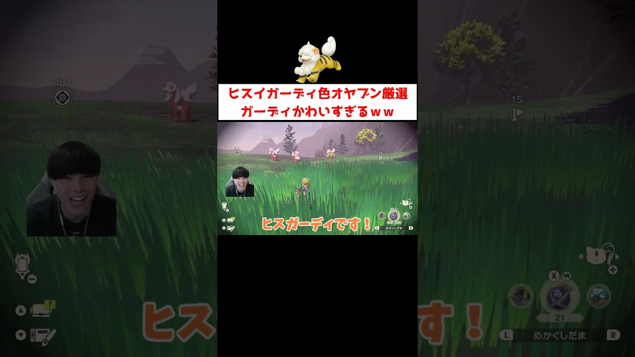 ヒスイガーディ色オヤブン厳選 #ゲーム実況 #shorts #ポケモン #レジェアル #ガーディ