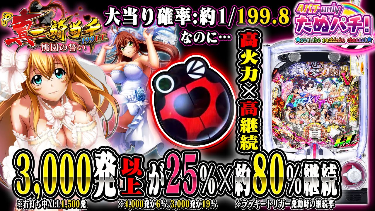【新台】ラッキートリガーが近い！P真・一騎当千~桃園の誓い~199LTver.＜Daiichi/D-light＞2024年12月新台初打ち【たぬパチ！】
