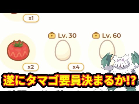 【ポケスリ】厳選終了チャンス！食材構成ABBの気になるサブスキルは？【ポケモンスリープ】【POKEMON】