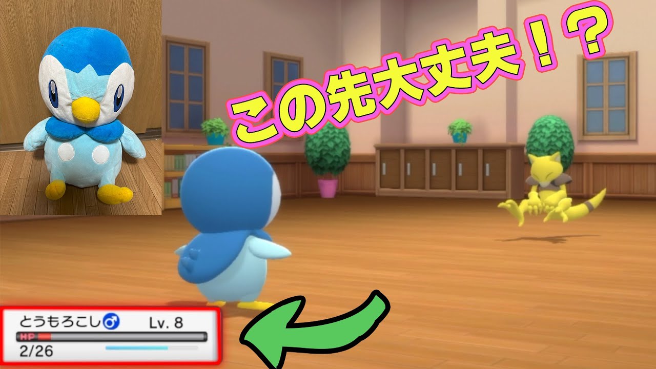 【縛り】ポッチャマのみで殿堂入りいけるのか！？！？ポケモンダイパリメイク#1