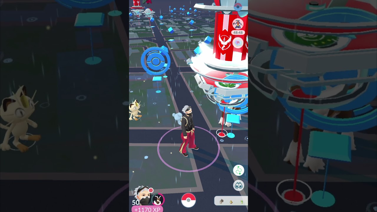 SHINY SKWOVET | TRẢI NGHIỆM POKÉMON GO | POGOVN