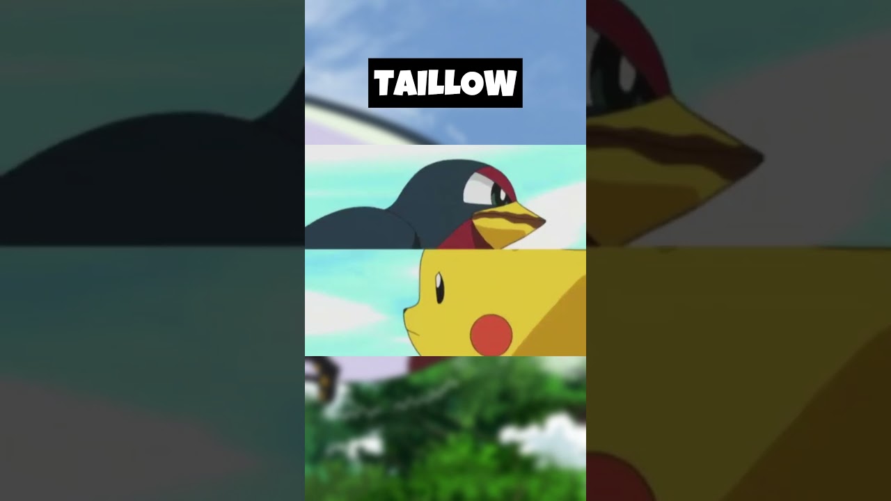 TAILLOW #pokemon #passaros #voador #fly #normal #shorts #short