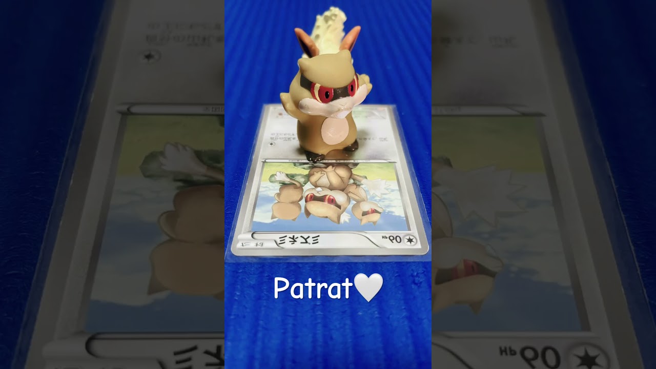 #Patrat🤍@Pokemon_FPc