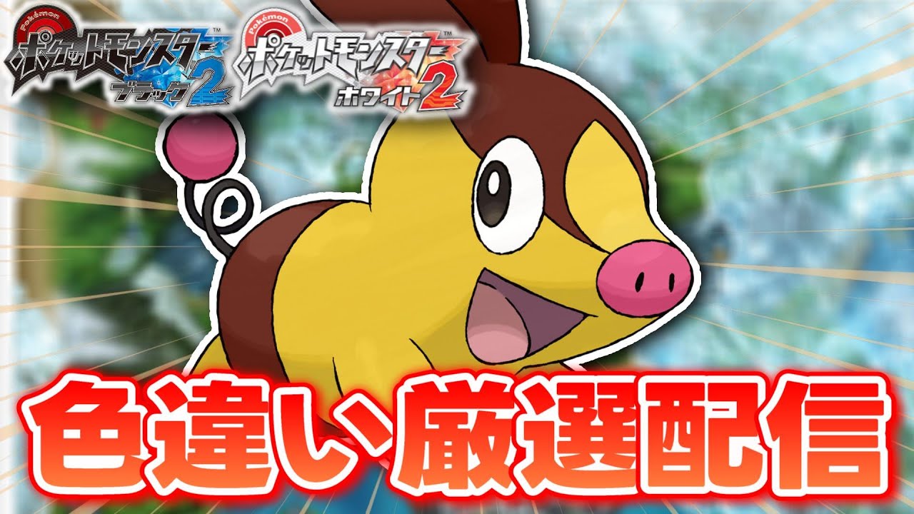 【ポケモンBW2】色違いしか使ってはいけない色違い縛り実況 ポカブ編 3700~【生配信】