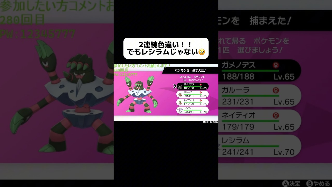ダイアドで2連続色違い来た！レシラムは来ない！ #ゲーム配信 #ポケモン #ポケモンsv #ポケットモンスター剣盾 #ゲーム配信者 #ゲーム実況 #ポケモン剣盾 #鎧の孤島
