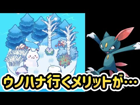 【ポケスリ】来週ホントにウノハナ雪原で良いのか…【ポケモンスリープ】【POKEMON】