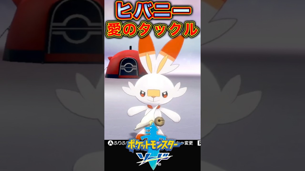 ポケじゃらしでテンション上がる相棒たち【ポケモンソード】#shorts #ポケモンソードシールド #ポケモン剣盾 #ポケモン剣盾実況 #ポケモンソード #ポケモン #ヒバニー