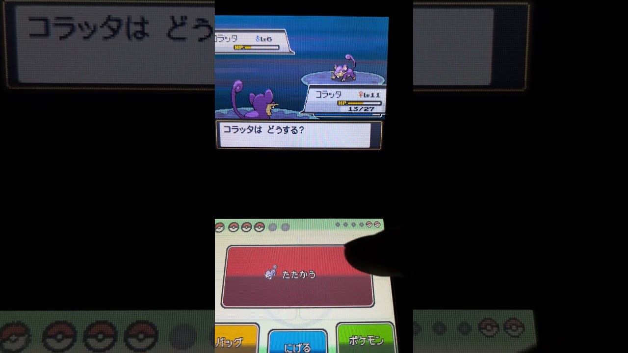 ポケットモンスター　ハートゴールド　コラッタVSコラッタ