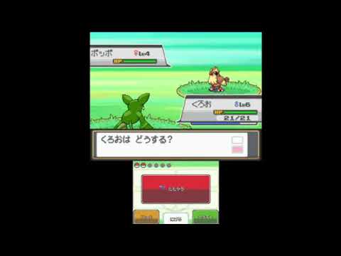 ポケットモンスターHGSS色違い旅でたくさん遊ぶ（29番道路でオタチを狙う）400回～