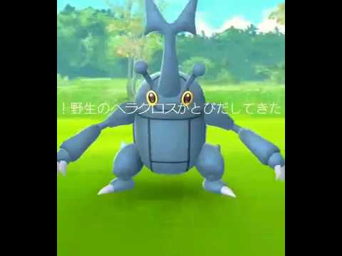 【ポケモンGO】ヘラクロス ゲットだぜ 【出現場所】【出現情報】海外限定【裏技】
