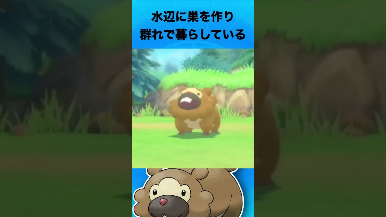 ビッパについて #ポケモン #ビッパ