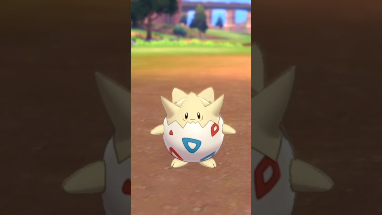 トゲピー Togepi【ポケモン剣盾】