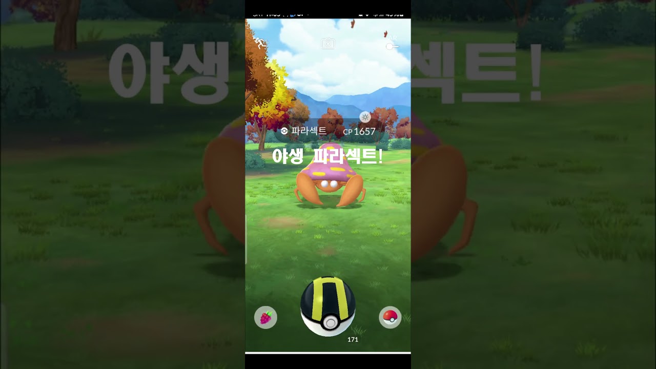 야생 파라섹트가 나왔............. #게임유튜버 #포켓몬 #pokemongo