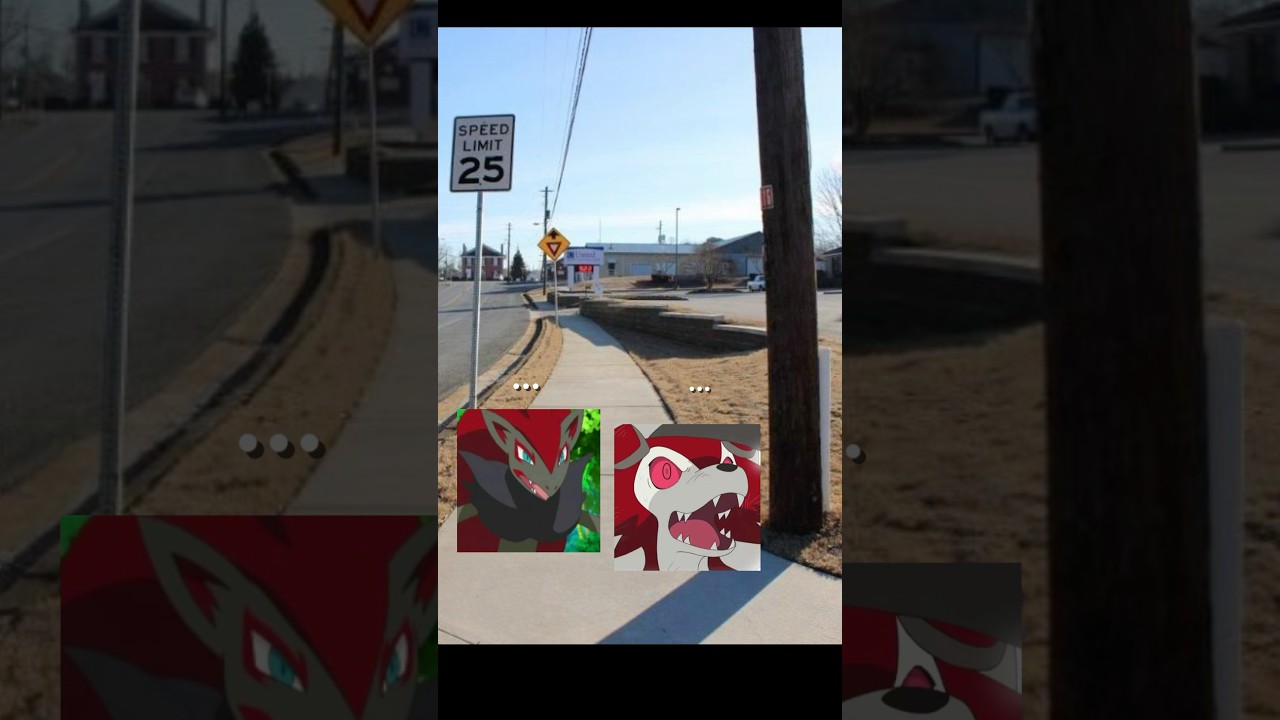 Lycanroc Missed Up Vacation￼ #lycanroc//#zoroark//#funny