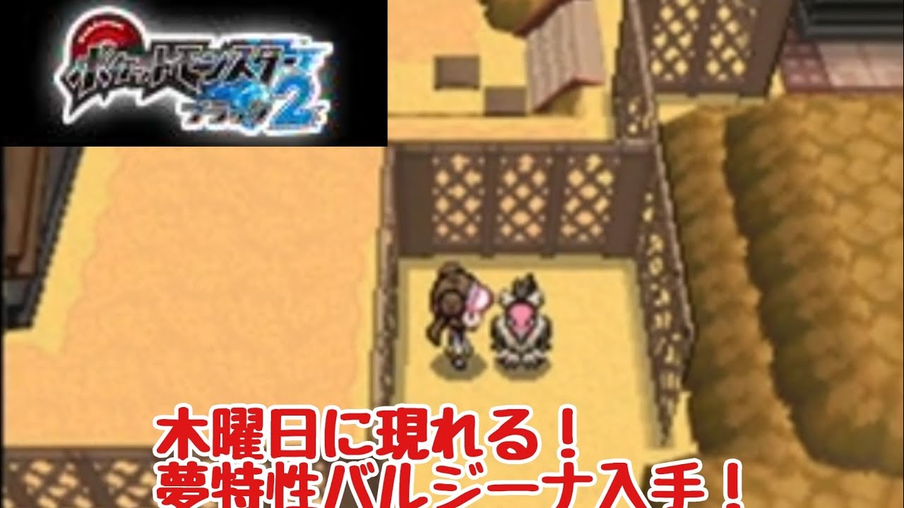 【#ポケモンブラック2】木曜日限定！夢特性バルジーナの出現場所！#ポケモン#VTuber