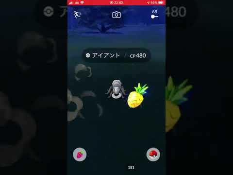 アイアントが自宅に出現