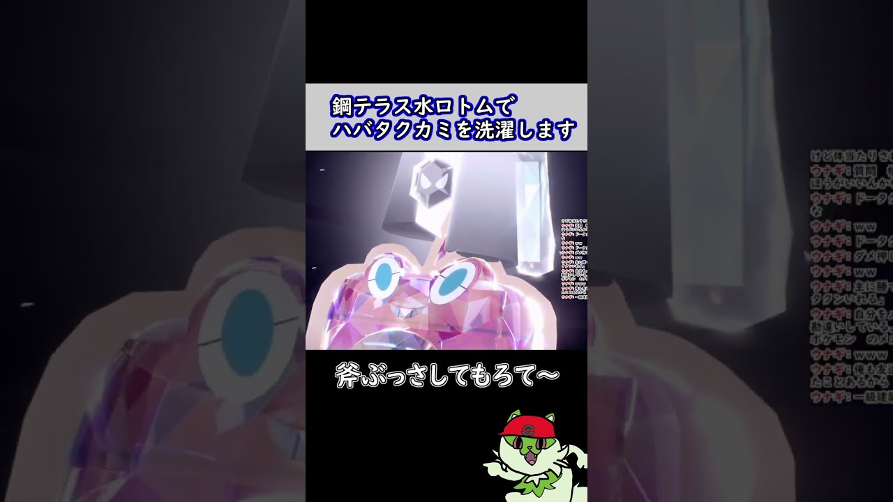 鋼テラス水ロトムでハバタクカミを洗濯した。【ポケモンSV】#shorts