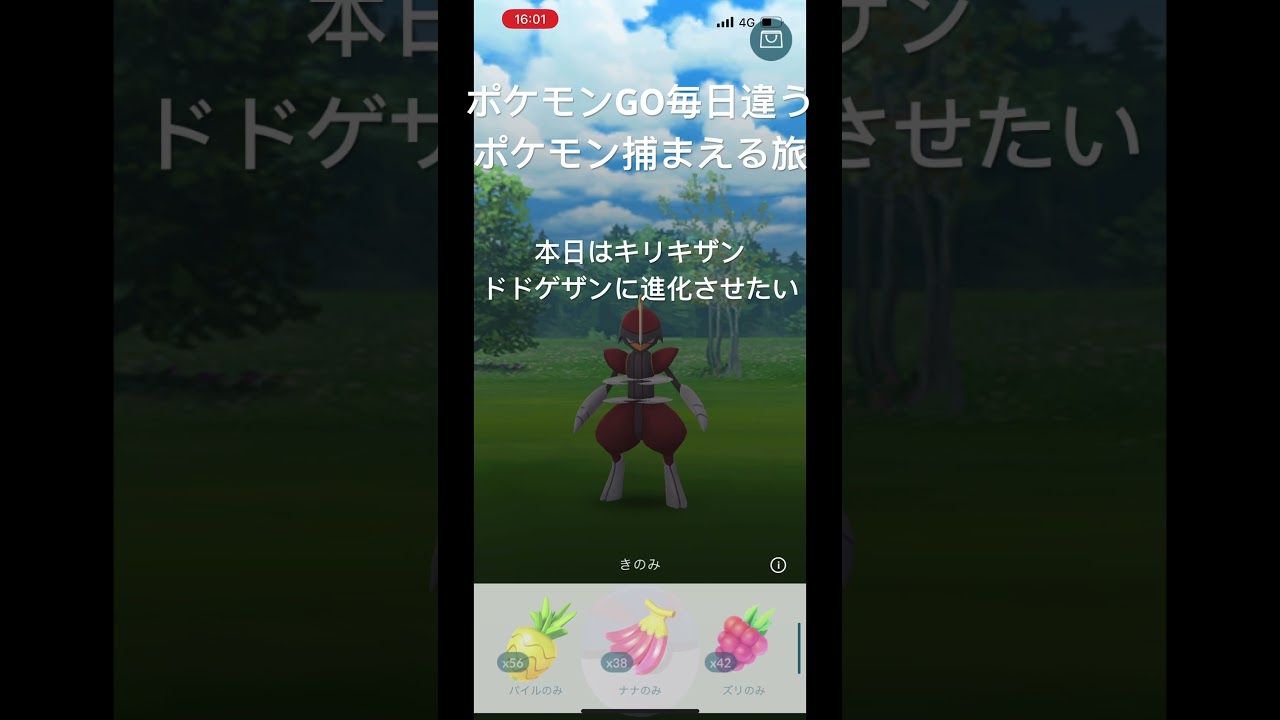 ポケモンGO毎日違うポケモン捕まえる旅 本日はキリキザン #ポケモンgo #ポケモン #キリキザン