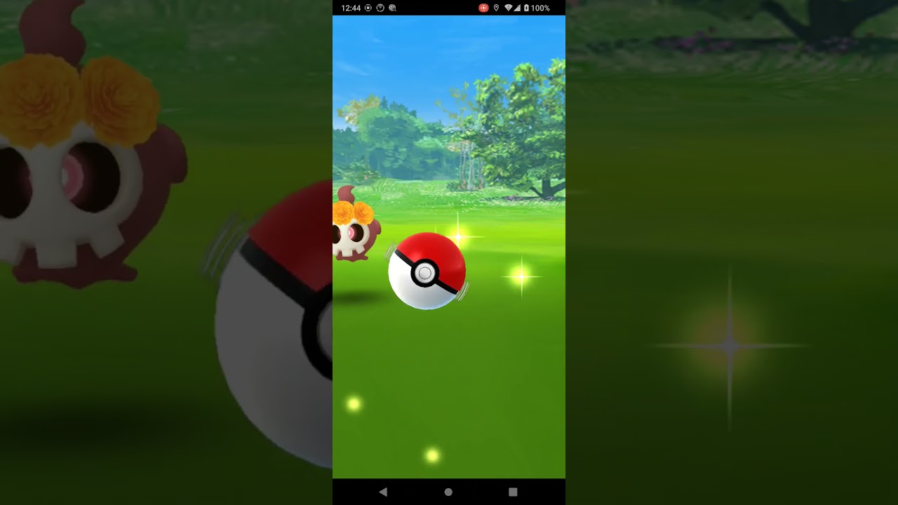 ポケモンＧＯヨマワル初で色違い～↗️  あれ‼️投球が…