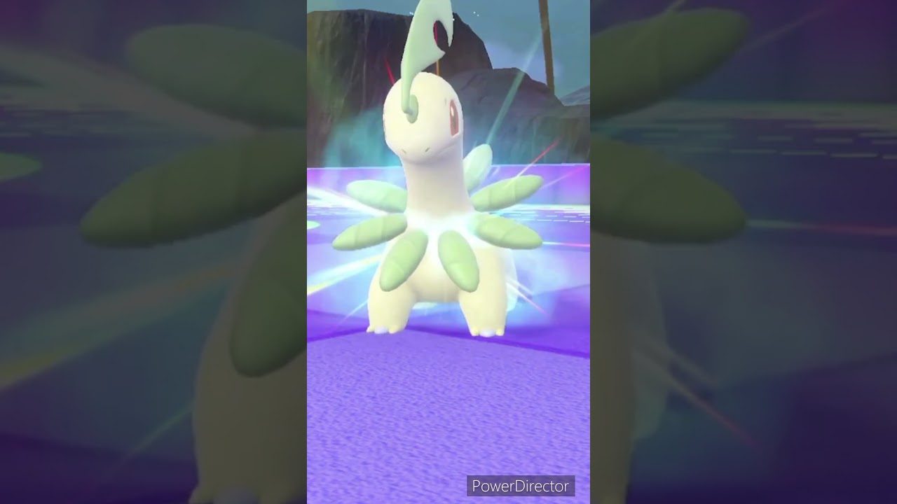 【ポケモンバイオレット】進化　ベイリーフ→メガニウム　#ポケモンバイオレット #ゲームリハビリ #切り抜き #shorts