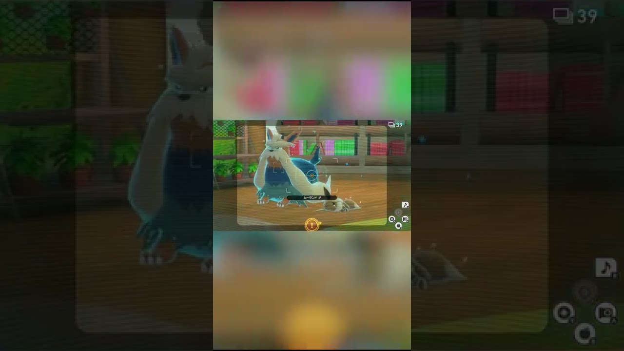 【Newポケモンスナップ NEW POKÉMON SNAP】寝起きのイーブイが可愛すぎて、ムーランドが見切れてしまう← #shorts