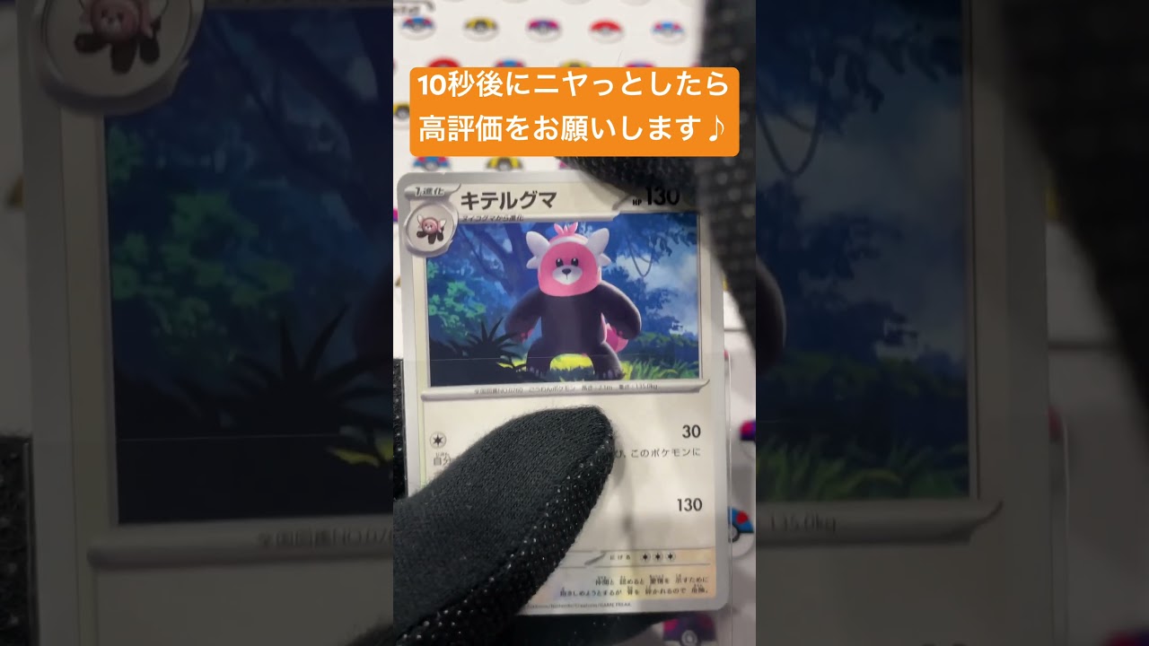 キテルグマの目が進化！コメント欄に感想お願いします♪ #shorts