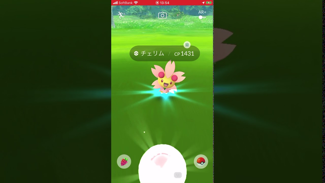 あ、野生のチェリムが現れた‼︎【ポケモンGO】