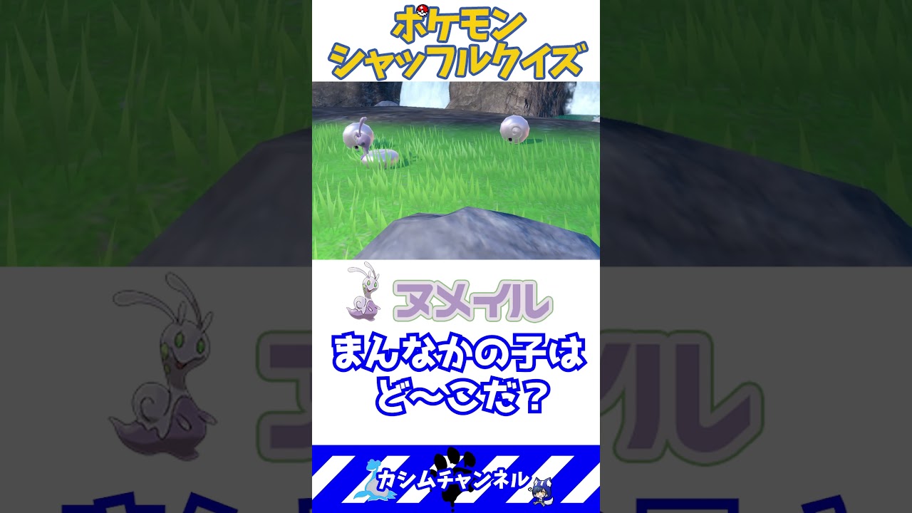 【#クイズ 】ポケモンシャッフル ヌメイル編  #shorts #ポケモンsv #pokemon #jpvtuber