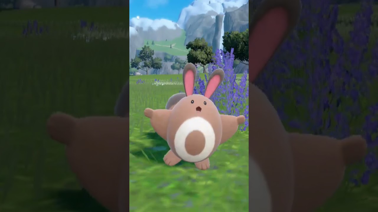 オタチ Sehtret【ポケモンsv】