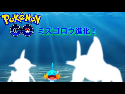 ポケモンGO ミズゴロウ進化！