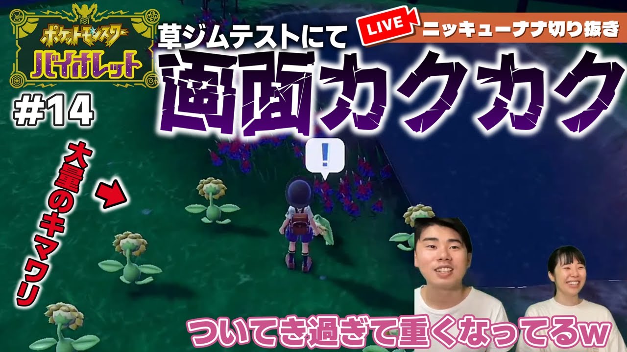 大量のキマワリにより画面がカクカクし、爆笑するニッキューナナ【ポケモンSV】#14