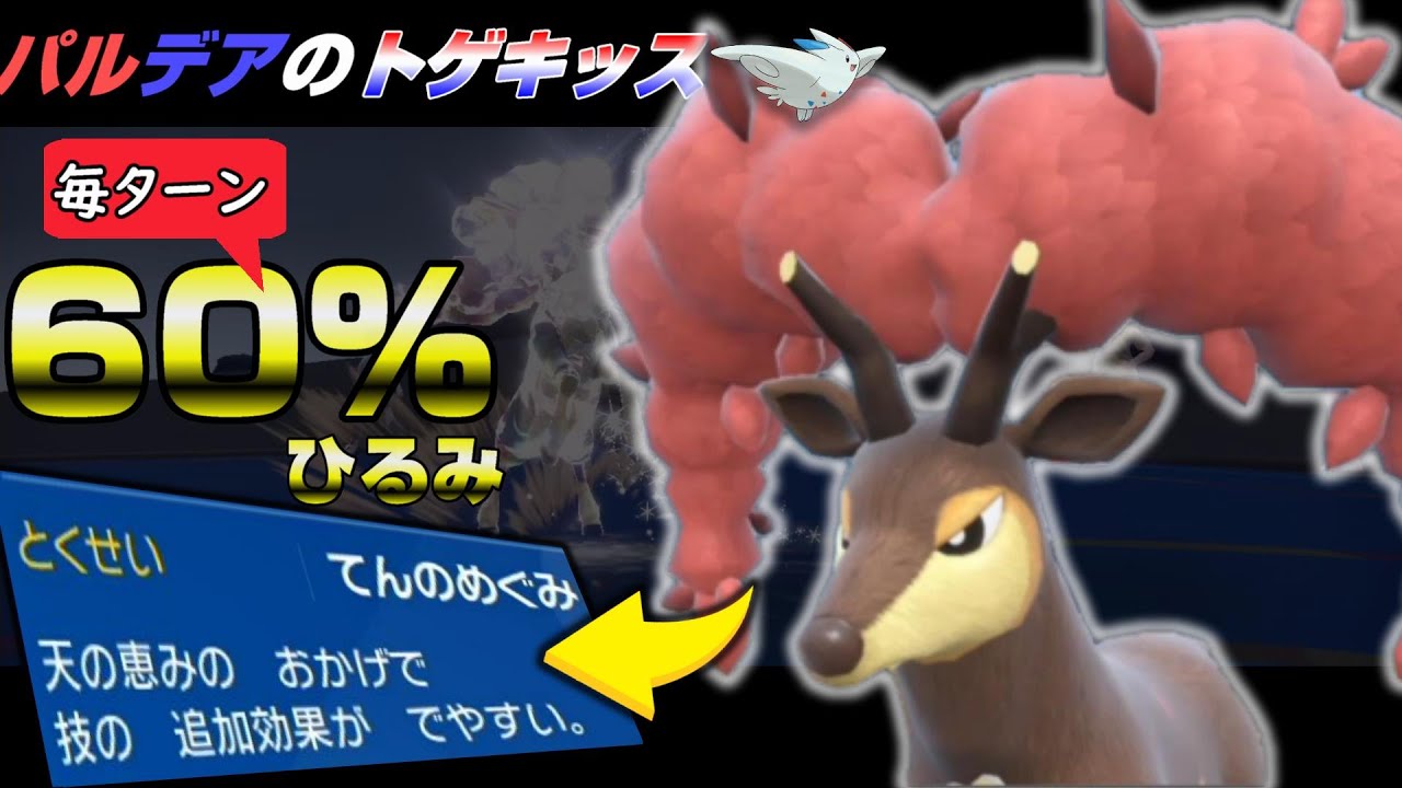 【メブキジカ】パルデアのトゲキッスとして入国を果たす  【ポケモンSV】