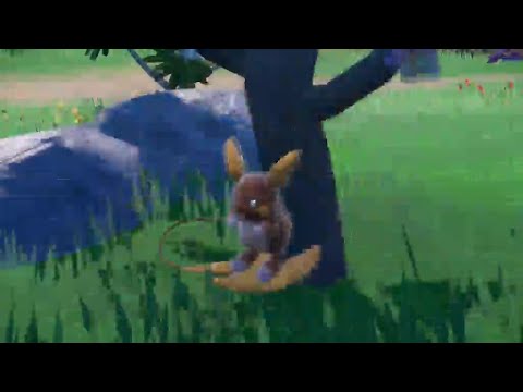 ポケモンSV　野生色違い厳選！！真夏の大量発生イベント、アローラライチュウパート16(2024.09.24)