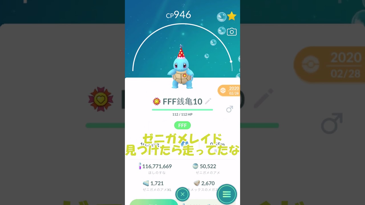 【フル強化PL50】パーティー帽ゼニガメ100％ #Shorts