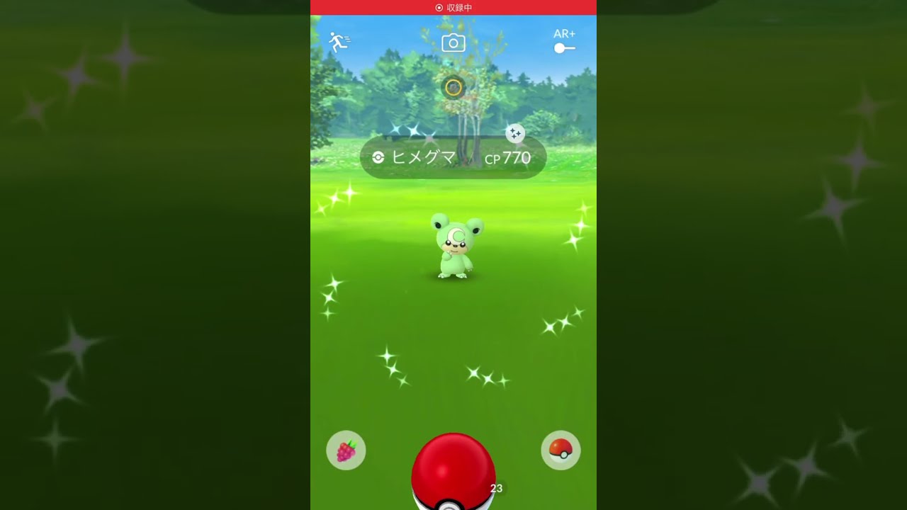 ポケモンGO ヒメグマ　色違い！！Pokémon GO ヒメグマコミュニティデイ