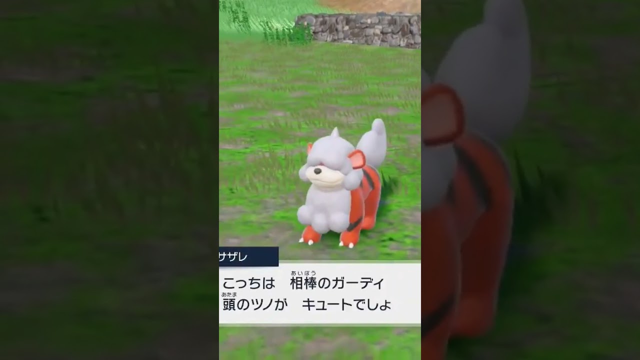 キタカミの里にヒスイガーディがいるってことはヒスイのポケモン達は絶滅してなかったってこと？ #ポケモンsv #碧の仮面 #ポケモンスカーレットバイオレット