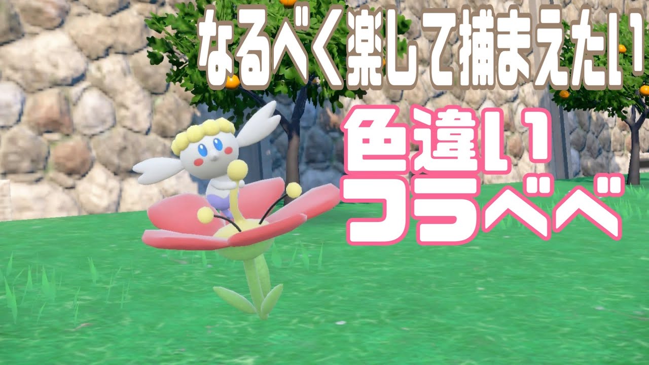 可愛いけど色違い厳選の難易度高いフラべべをなるべく楽に捕まえたい！【ポケモンSV】