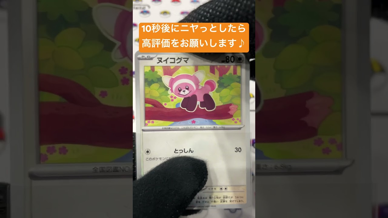 ヌイコグマの目が進化！コメント欄に感想お願いします♪ #shorts