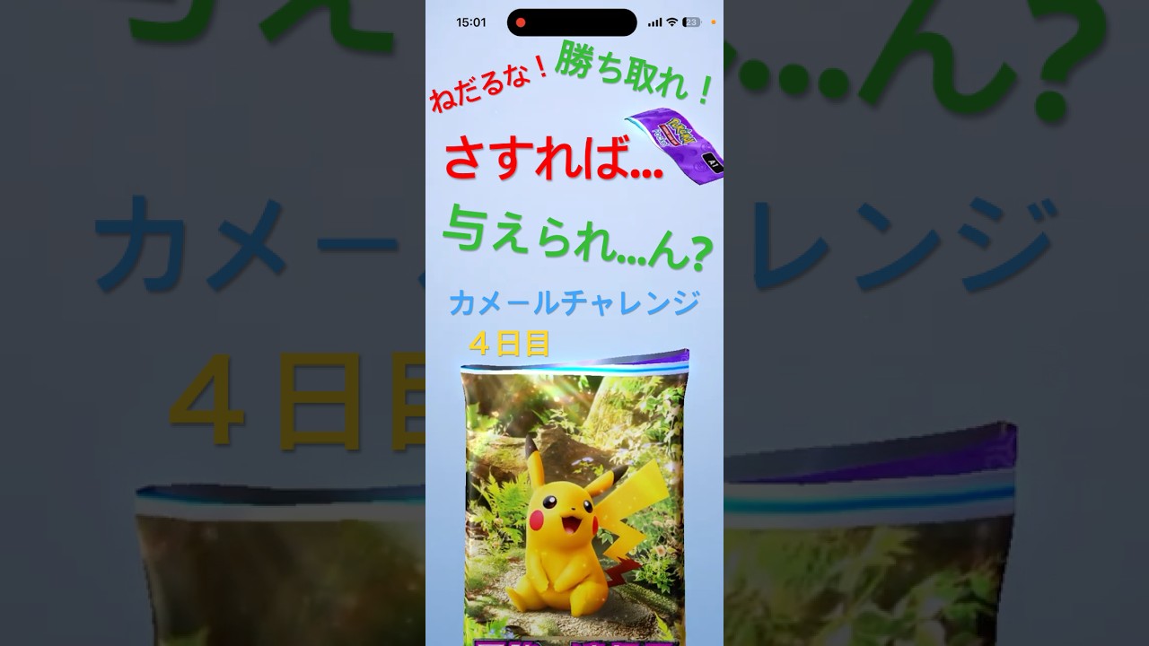 カメールチャレンジ４日目〜ねだるな…勝ち取れ！