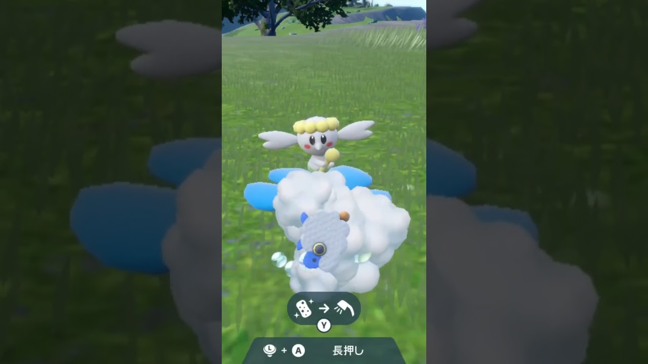 フラベベ 青 Flabébé【ポケモンsv】