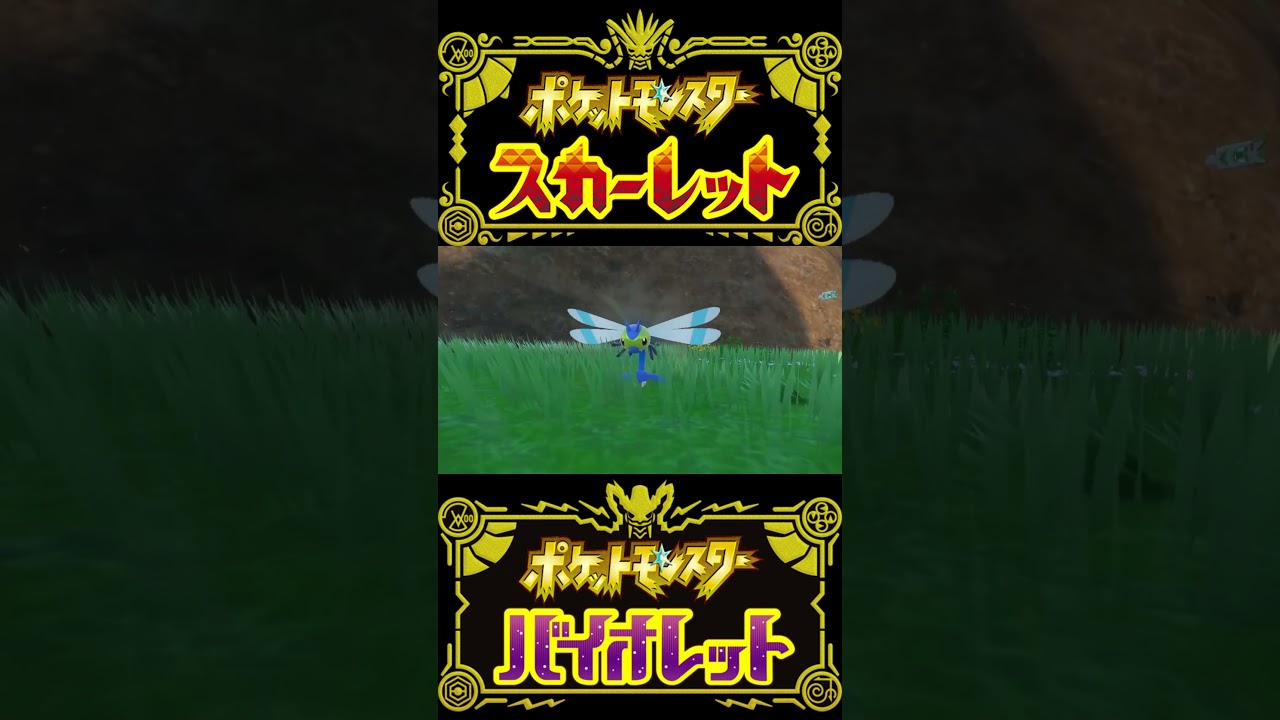 【ポケモンSV】フレボ入り色違いヤンヤンマ/メガヤンマ #short