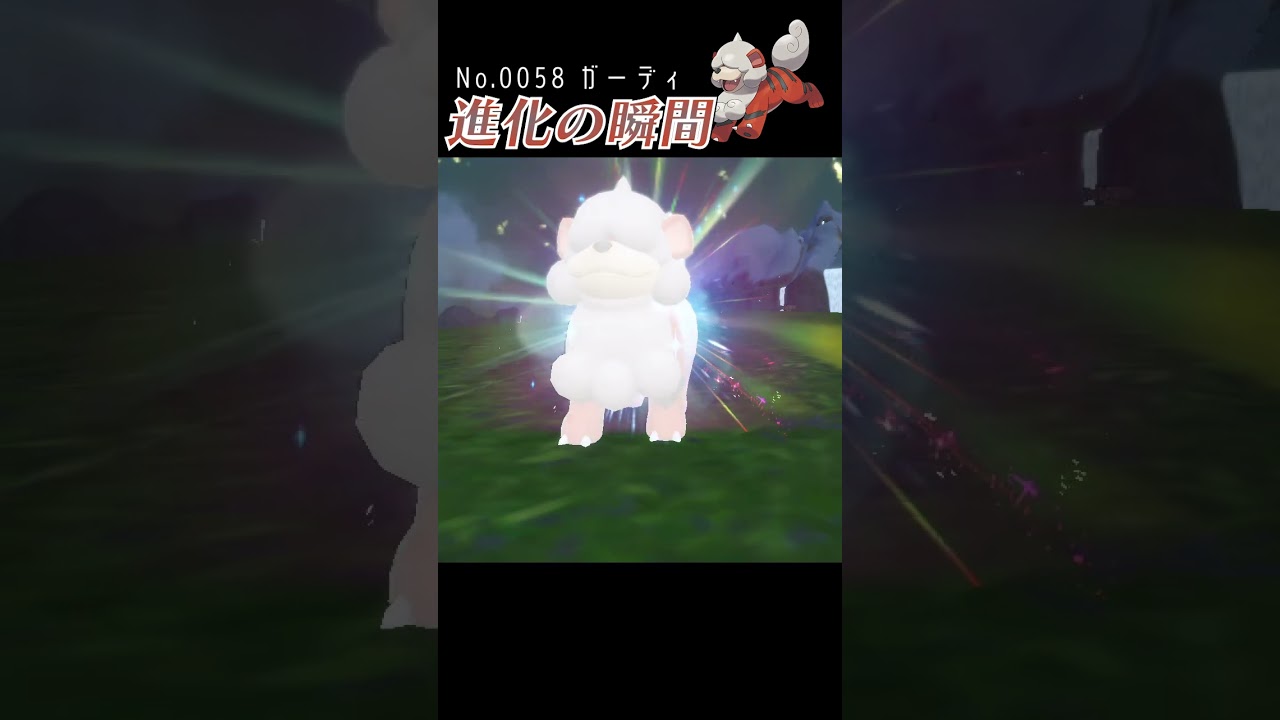 【バイオレット】ガーディ 進化の瞬間 #shorts【ヒスイのすがた】