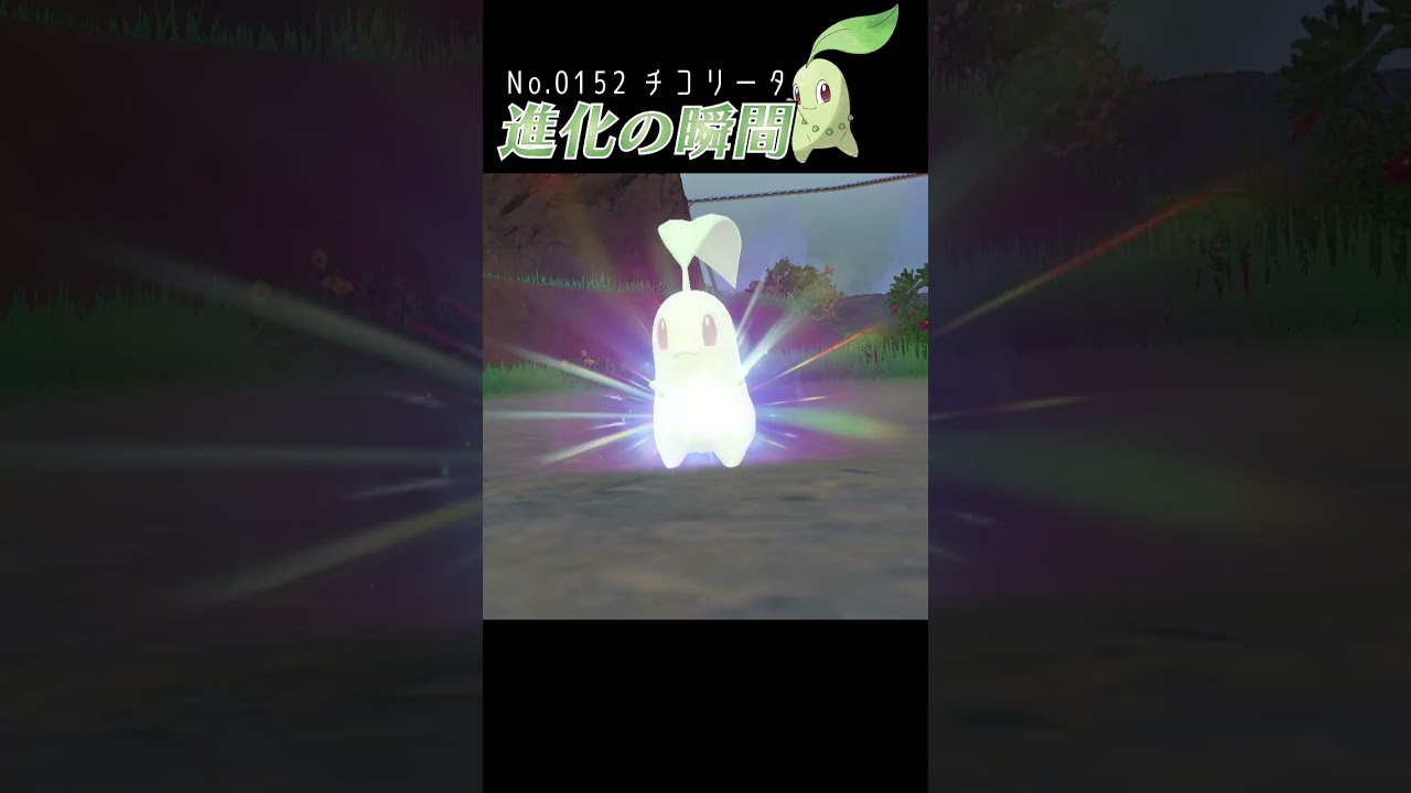 【藍の円盤】チコリータ 進化の瞬間 #shorts